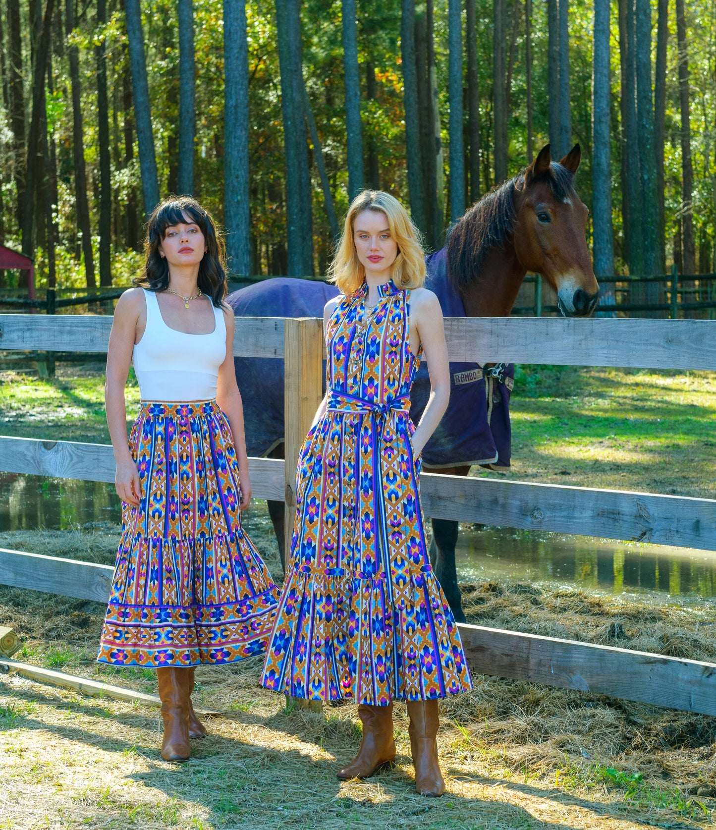 Babs Dress - Navajo