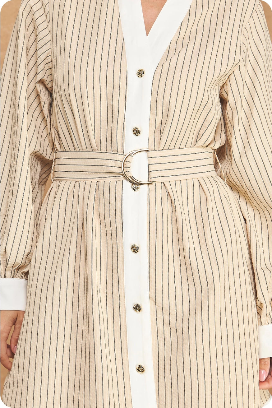 Stripe Contrast L/S Mini Dress