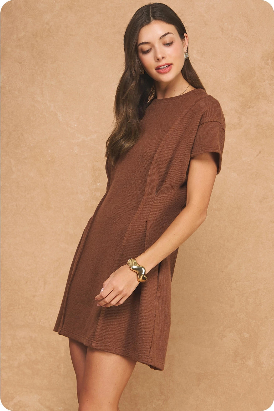 Ribbed Knit Pintuck Mini Dress - Chocolate