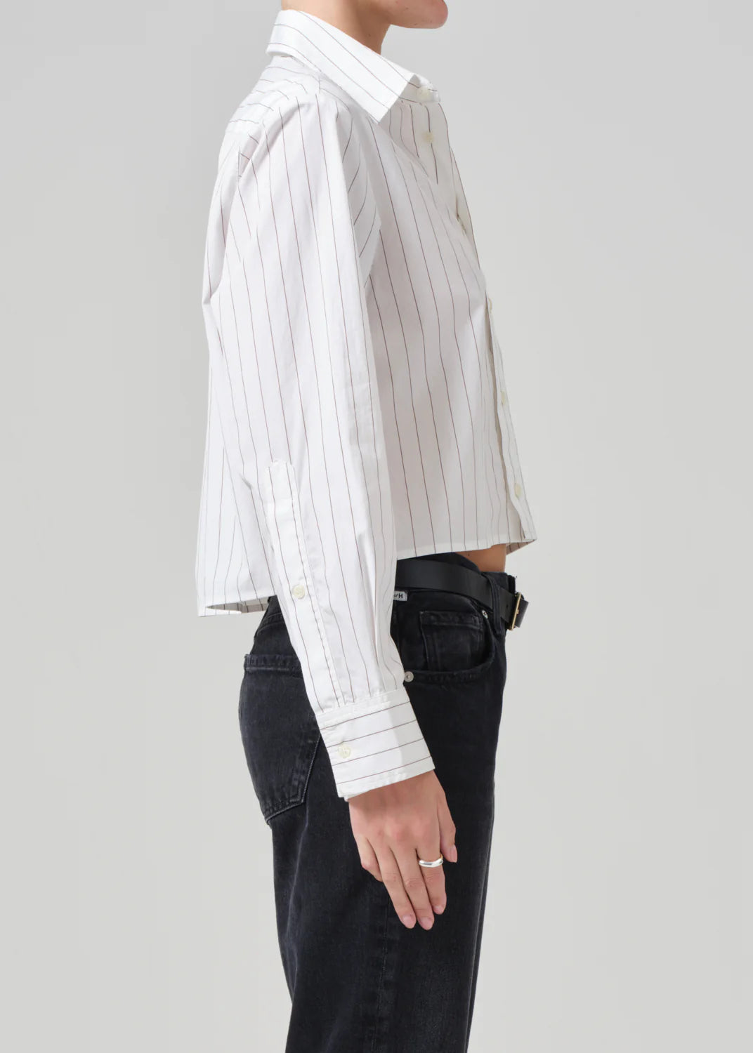 Fino Cropped Shirt - Clove Stripe