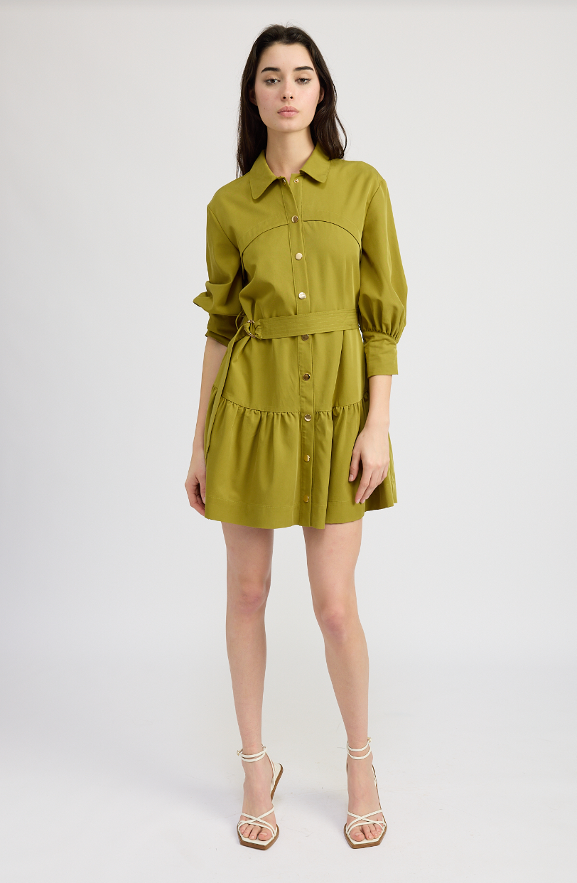 Carter Mini Dress - Pear