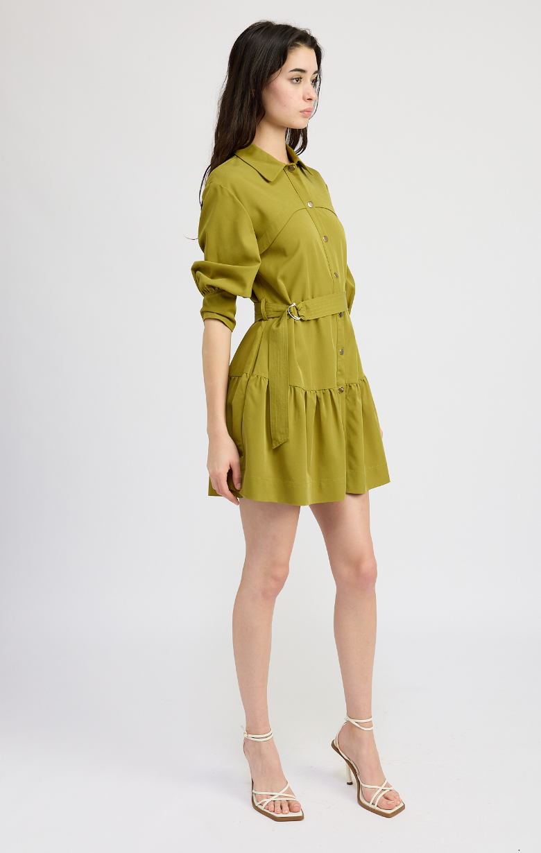 Carter Mini Dress - Pear