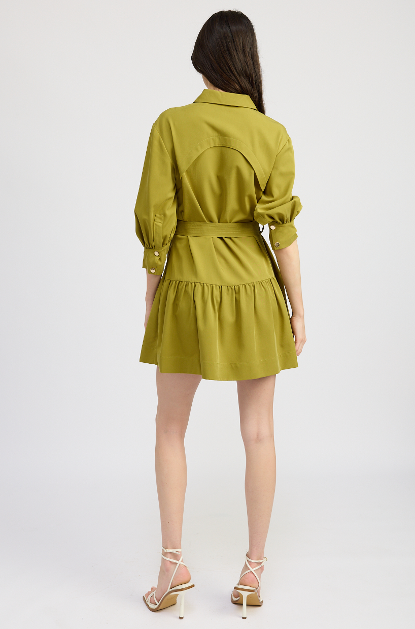 Carter Mini Dress - Pear