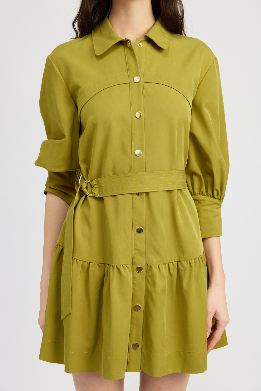 Carter Mini Dress - Pear