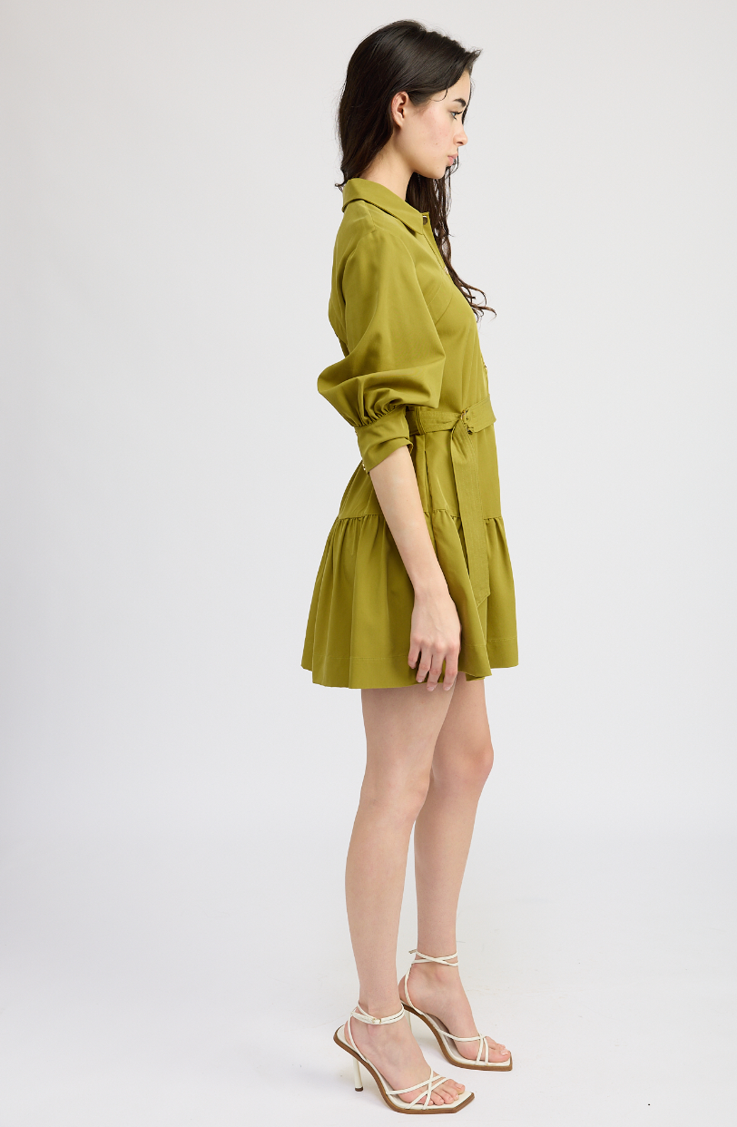 Carter Mini Dress - Pear