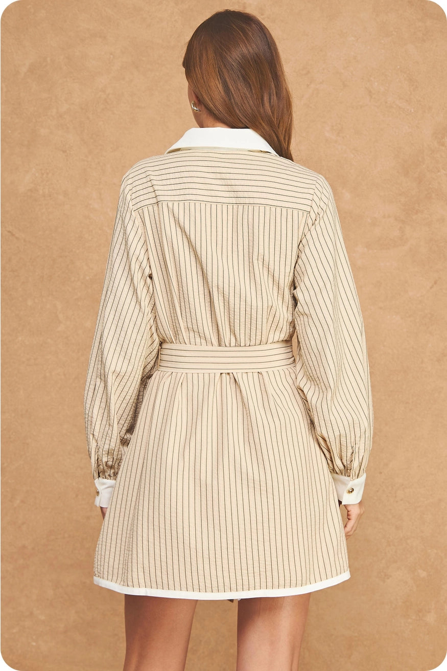 Stripe Contrast L/S Mini Dress