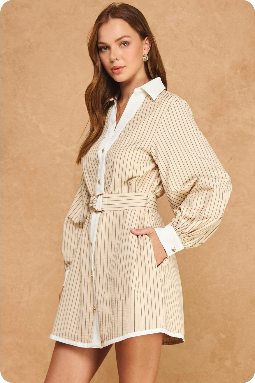 Stripe Contrast L/S Mini Dress