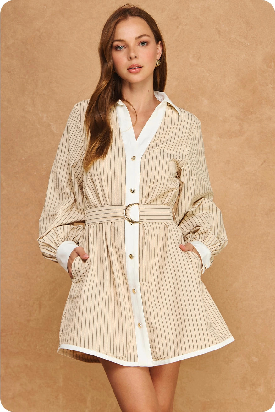 Stripe Contrast L/S Mini Dress