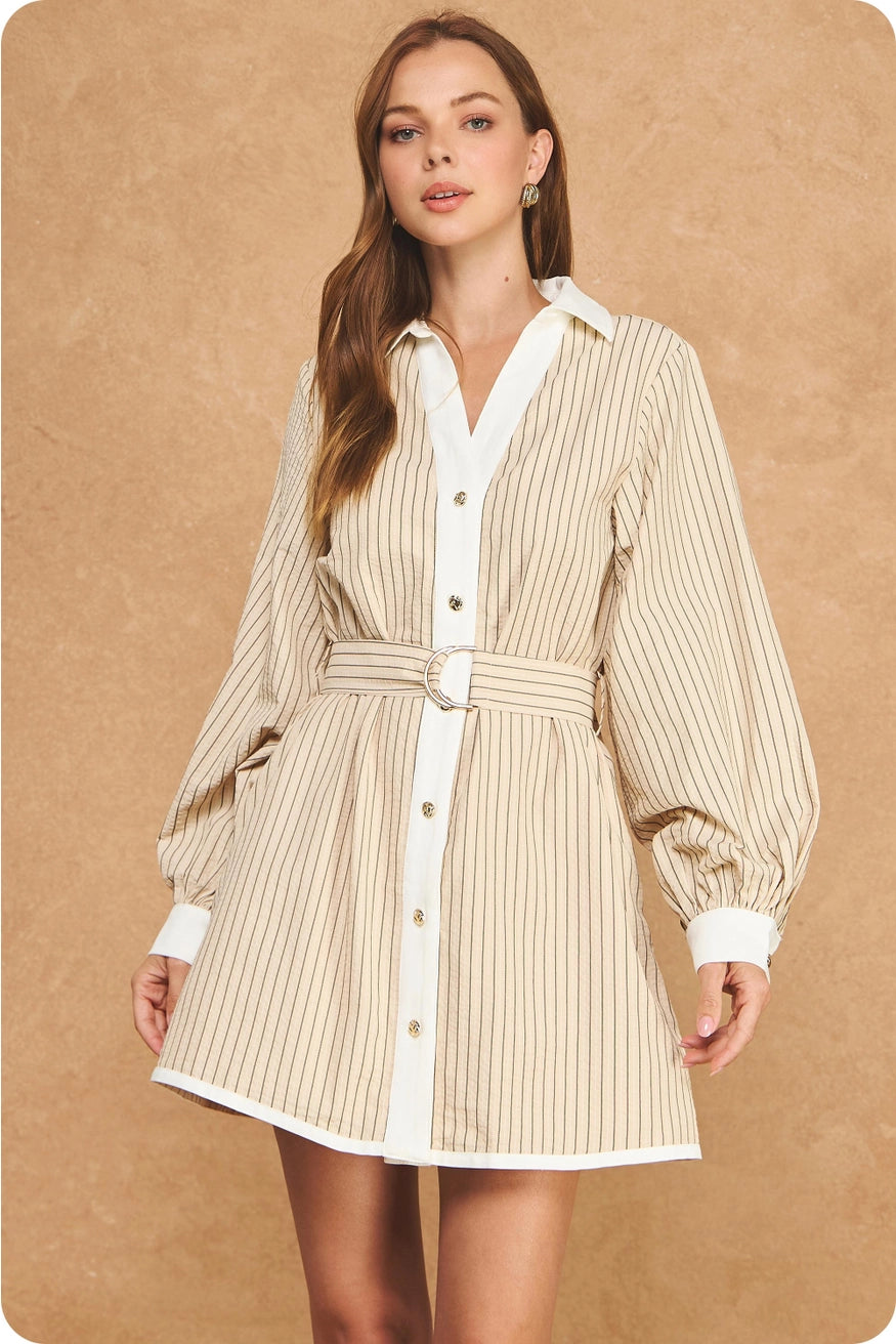 Stripe Contrast L/S Mini Dress